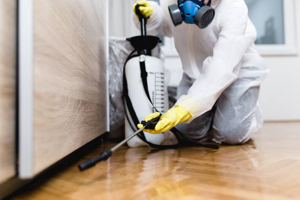 Best Ant Control Services  in Wathena, KS