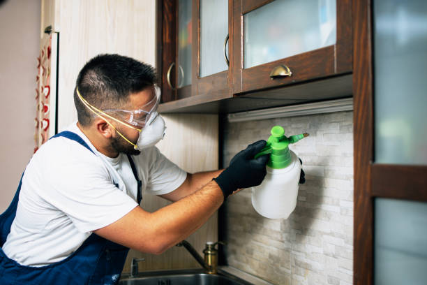 Best Bed Bug Extermination  in Wathena, KS