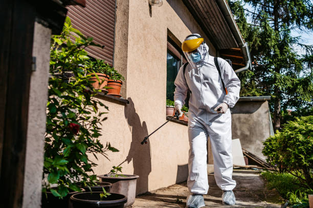 Best Cockroach Control Services  in Wathena, KS