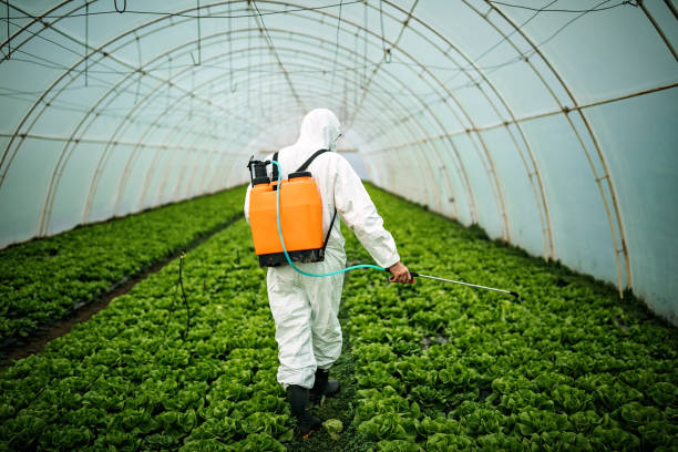 Best Pest Removal Services  in Wathena, KS