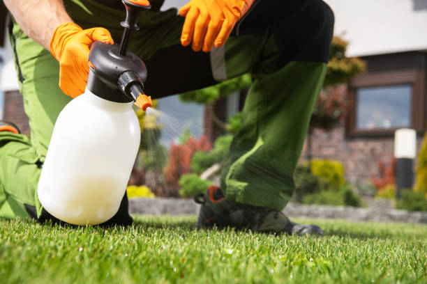 Best Commercial Pest Control Services  in Wathena, KS