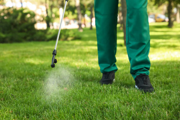 Best Mosquito Control Services  in Wathena, KS