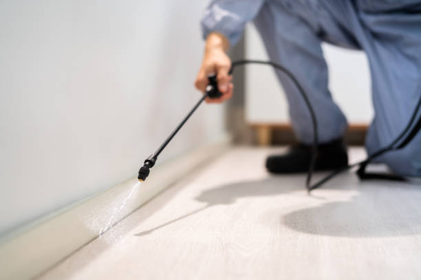 Best Pest Removal Services  in Wathena, KS