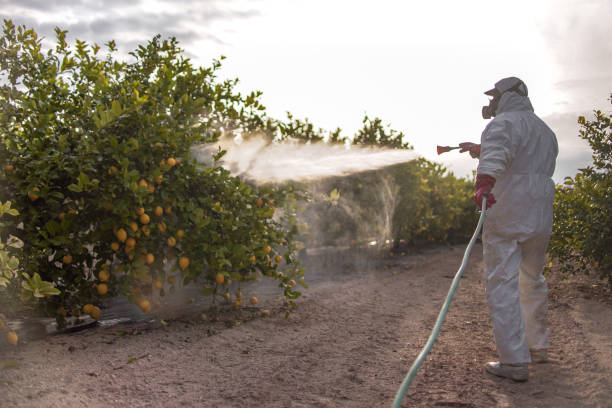 Best Insect Control  in Wathena, KS