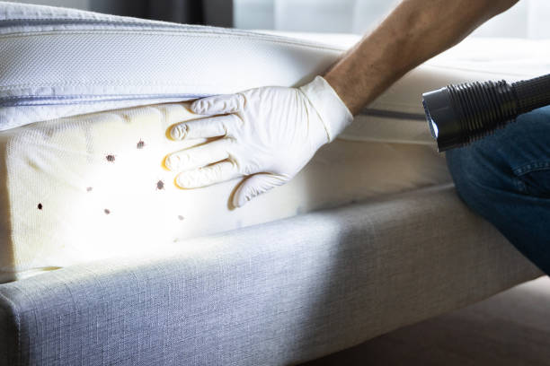 Best Pest Prevention Services  in Wathena, KS