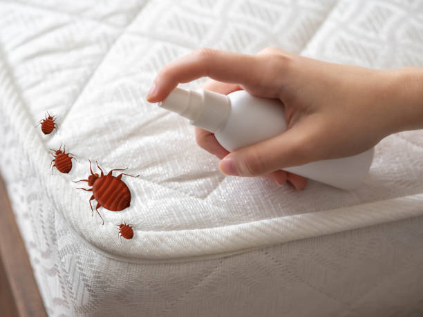 Professional Pest Control in Wathena, KS