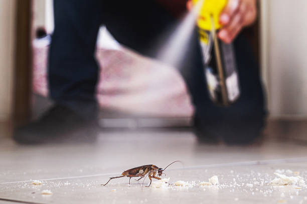 Best Residential Pest Control  in Wathena, KS