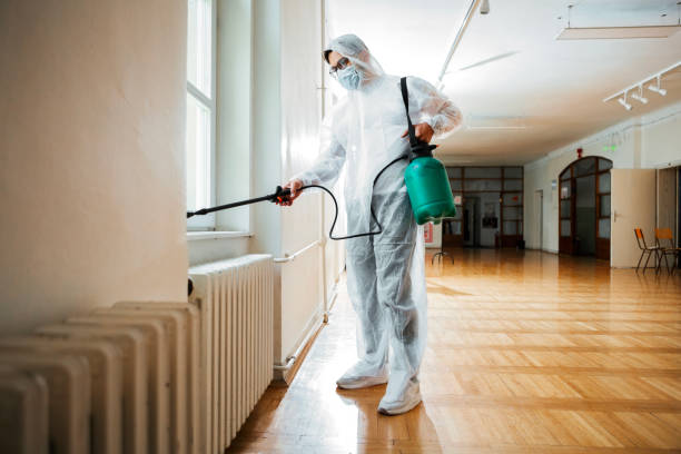Best Affordable Pest Control Services  in Wathena, KS